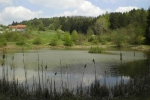 waldcamp-huettenhof_see