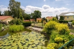 ferienanlage-zum-see_gartenteich