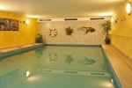 hotel-am-wald_pool