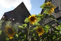 Wellness Ranch Niederfrohna