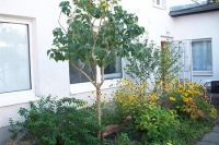 Appartementpension „Am Krongut“