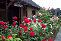 Ferienwohnung „Zur Rose“