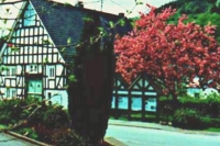 Rucksackherberge am Rothaarsteig 