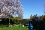 ferienhof-kruse_fewo-garten