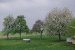 ferienhof-hesels_aussenansicht-wiese