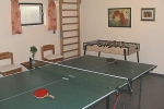 haus-mauthe_tischtennis