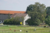 Pony Camp Böck