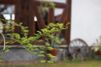 Ferien- & Reiterhof Richter