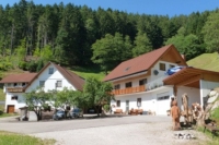 Ferienwohnungen Holderstanzenhof