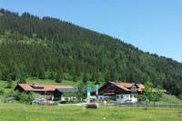 Haflingerhof 