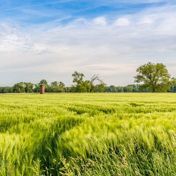 niederrhein_die-urlaubsmacher